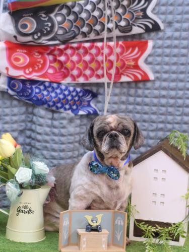 20230514ヒメちゃん